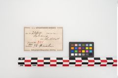 Etikett zu Perlenkette (NHMW-PRAE-024691)